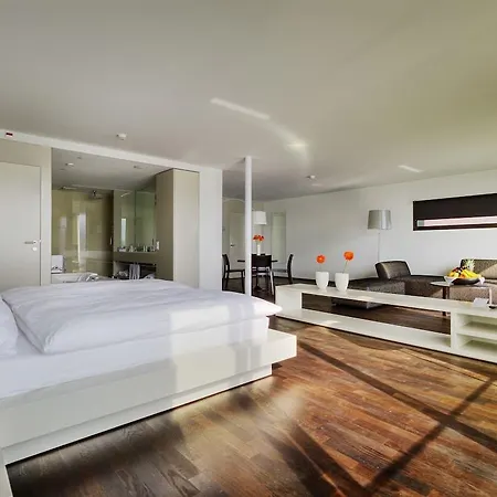 Hermitage - Club & Lifestyle Готель Lucerne